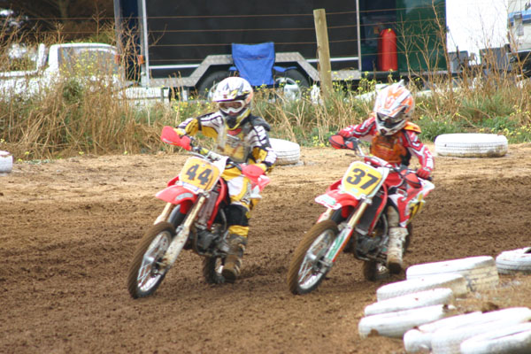 BMMXC