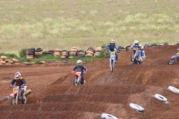 BMMXC